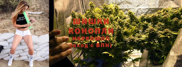 PSILOCYBIN Абаза
