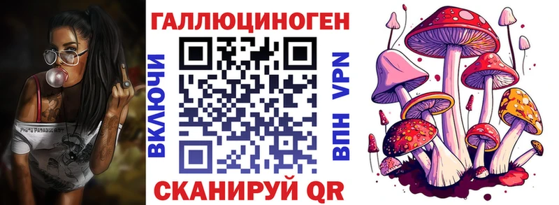Псилоцибиновые грибы MAGIC MUSHROOMS Торжок